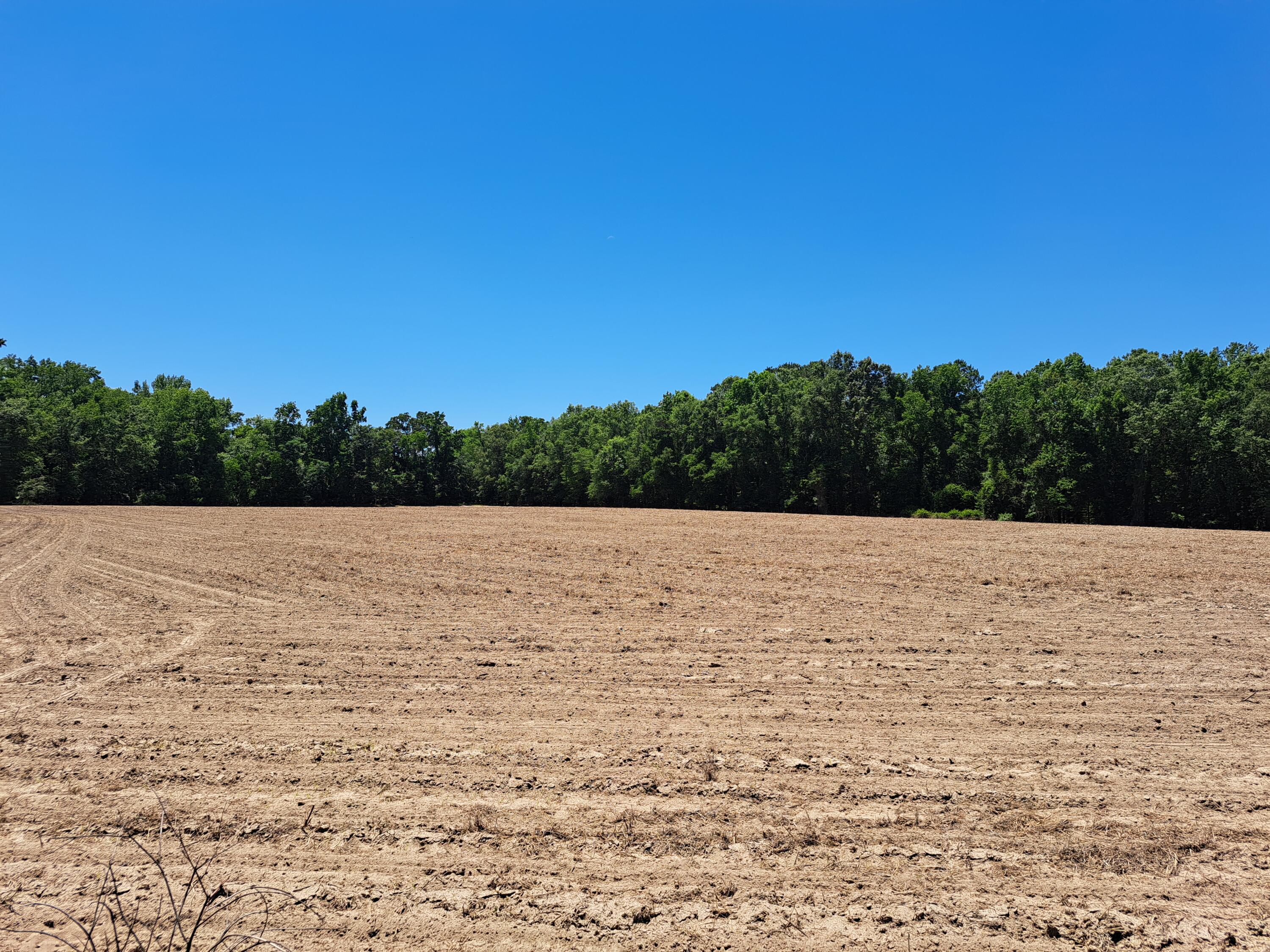 2 Muldoon Drive Summerton, SC 29148 - Photo 2 of 3 20250522_140202