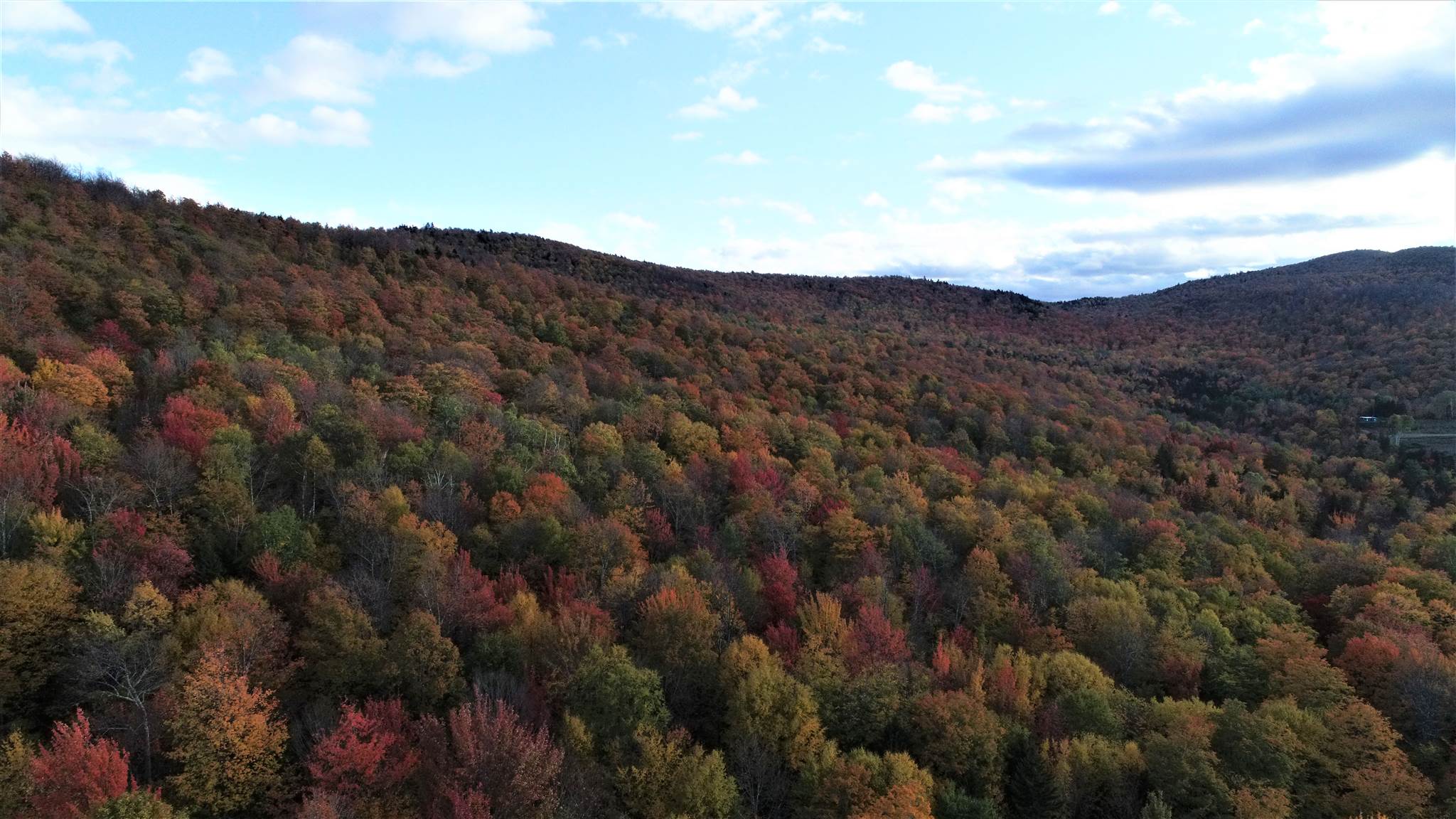 0 Morgan Road Woodstock, VT 05091 - Photo 2 of 15