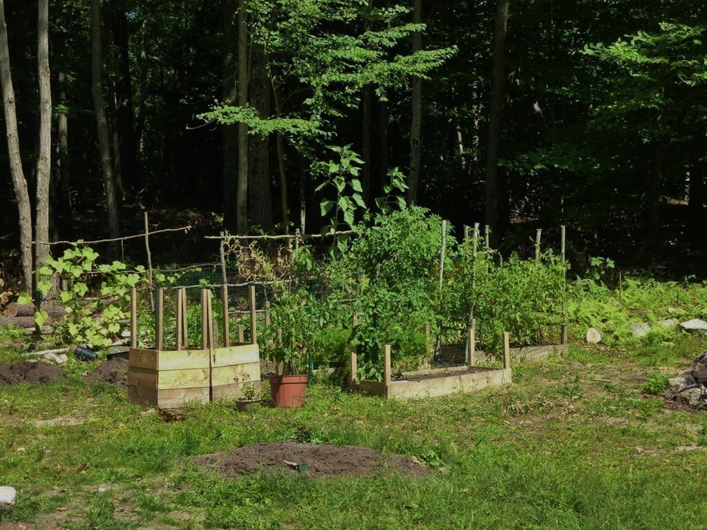 75 Barre Road Phillipston, MA 01331 - Photo 10 of 22
