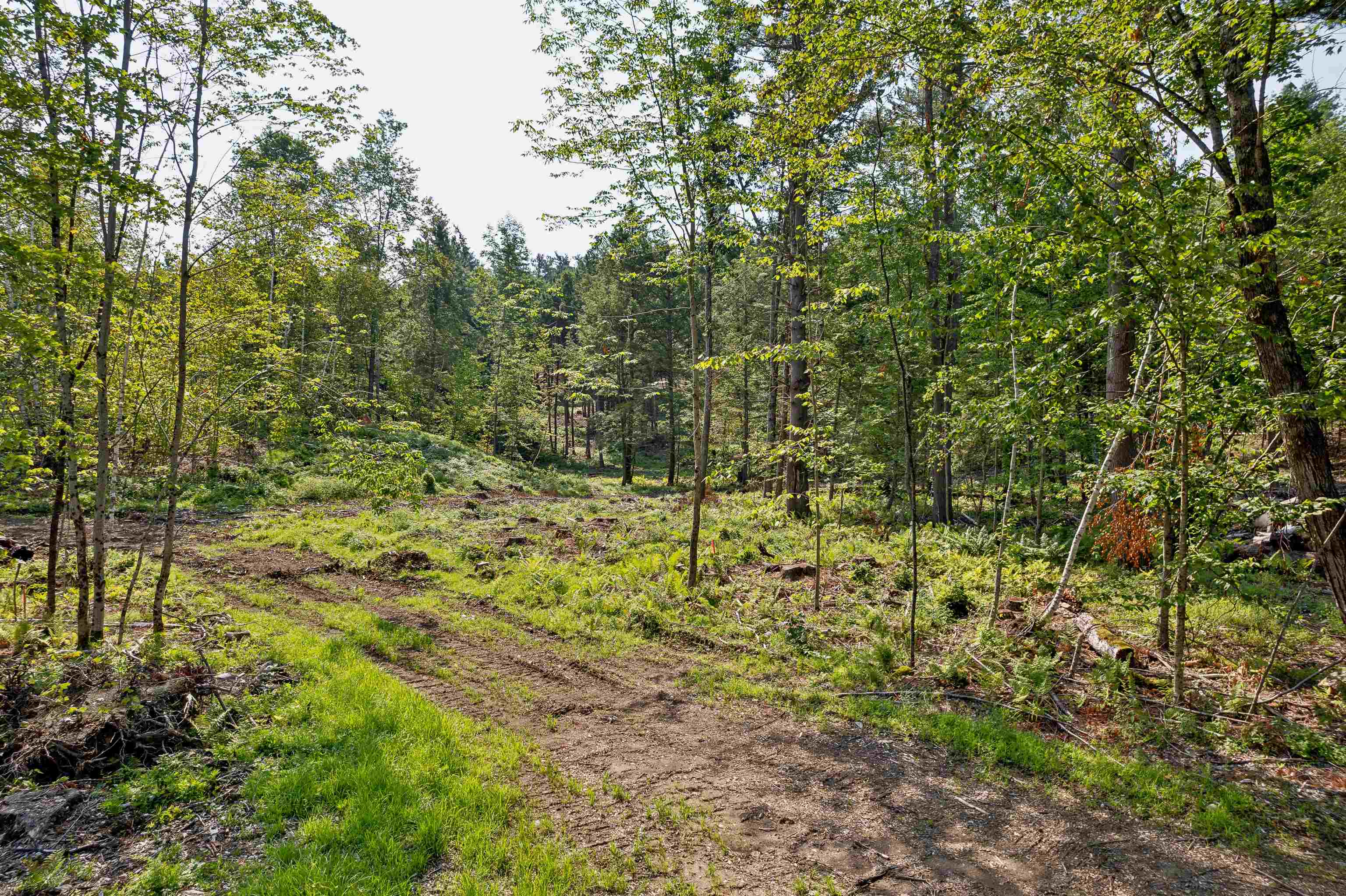 0 Court Street, Unit 4 Haverhill, NH 03765 - Photo 3 of 15