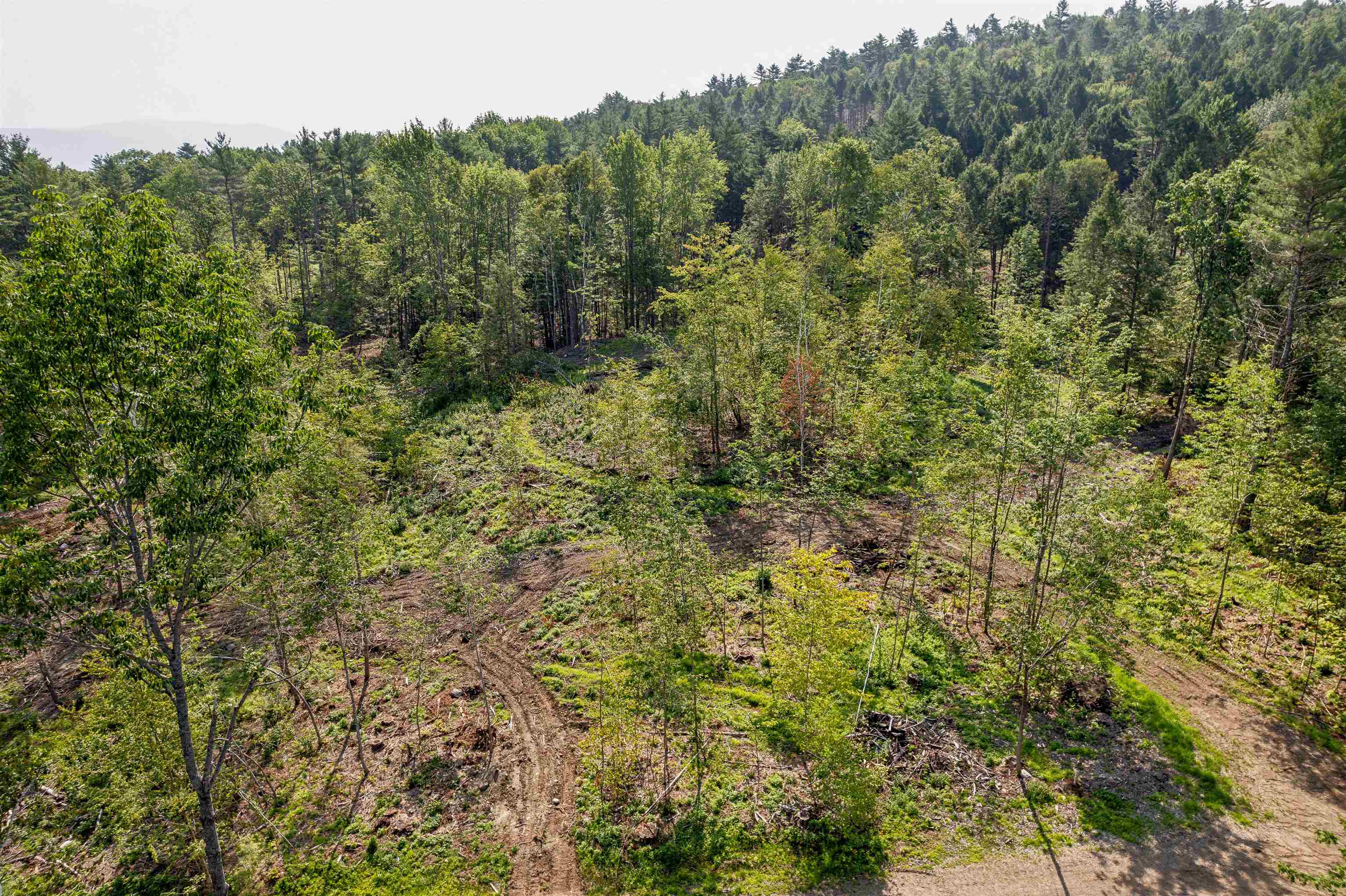 0 Court Street, Unit 4 Haverhill, NH 03765 - Photo 5 of 15