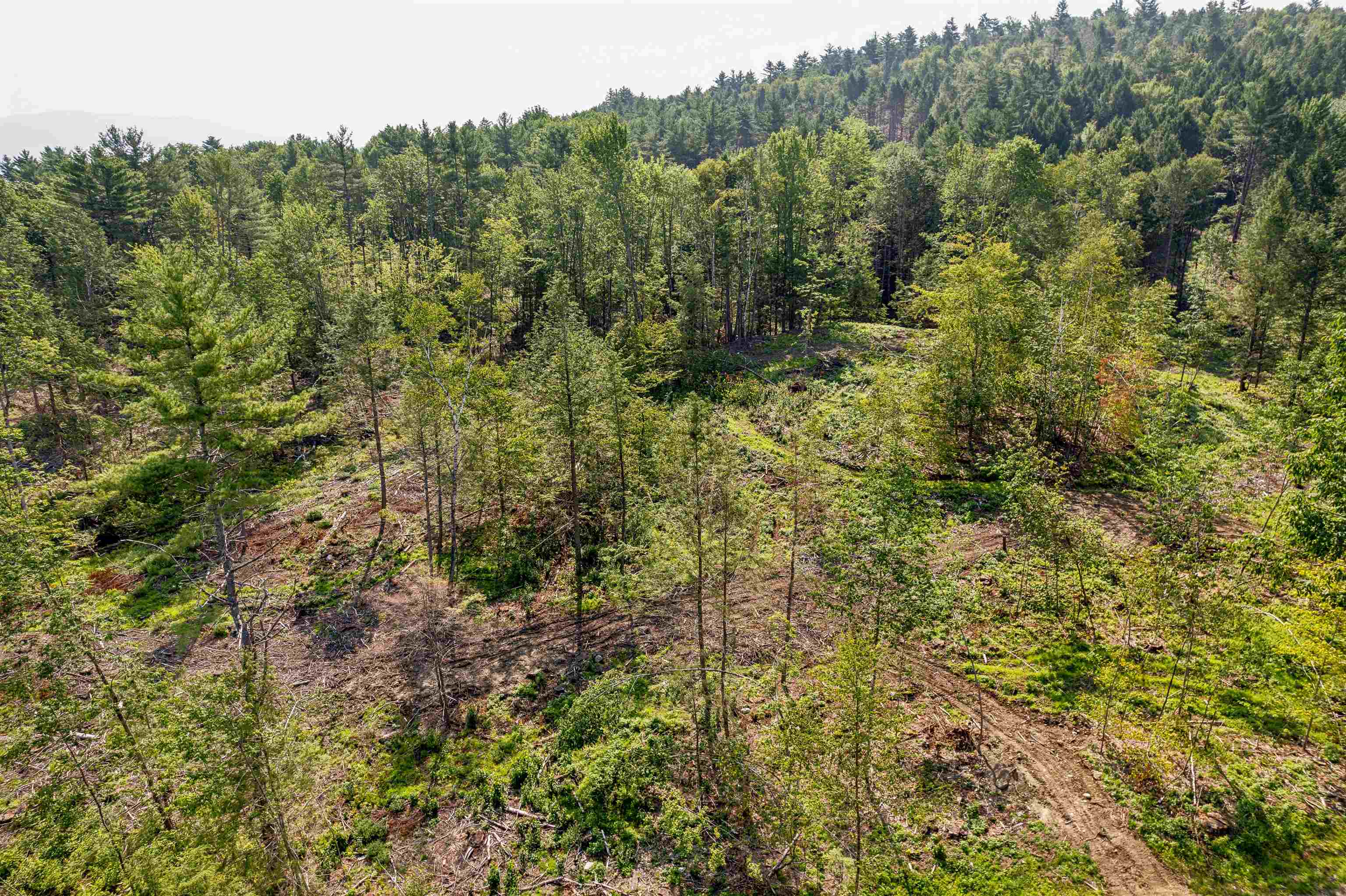 0 Court Street, Unit 4 Haverhill, NH 03765 - Photo 6 of 15