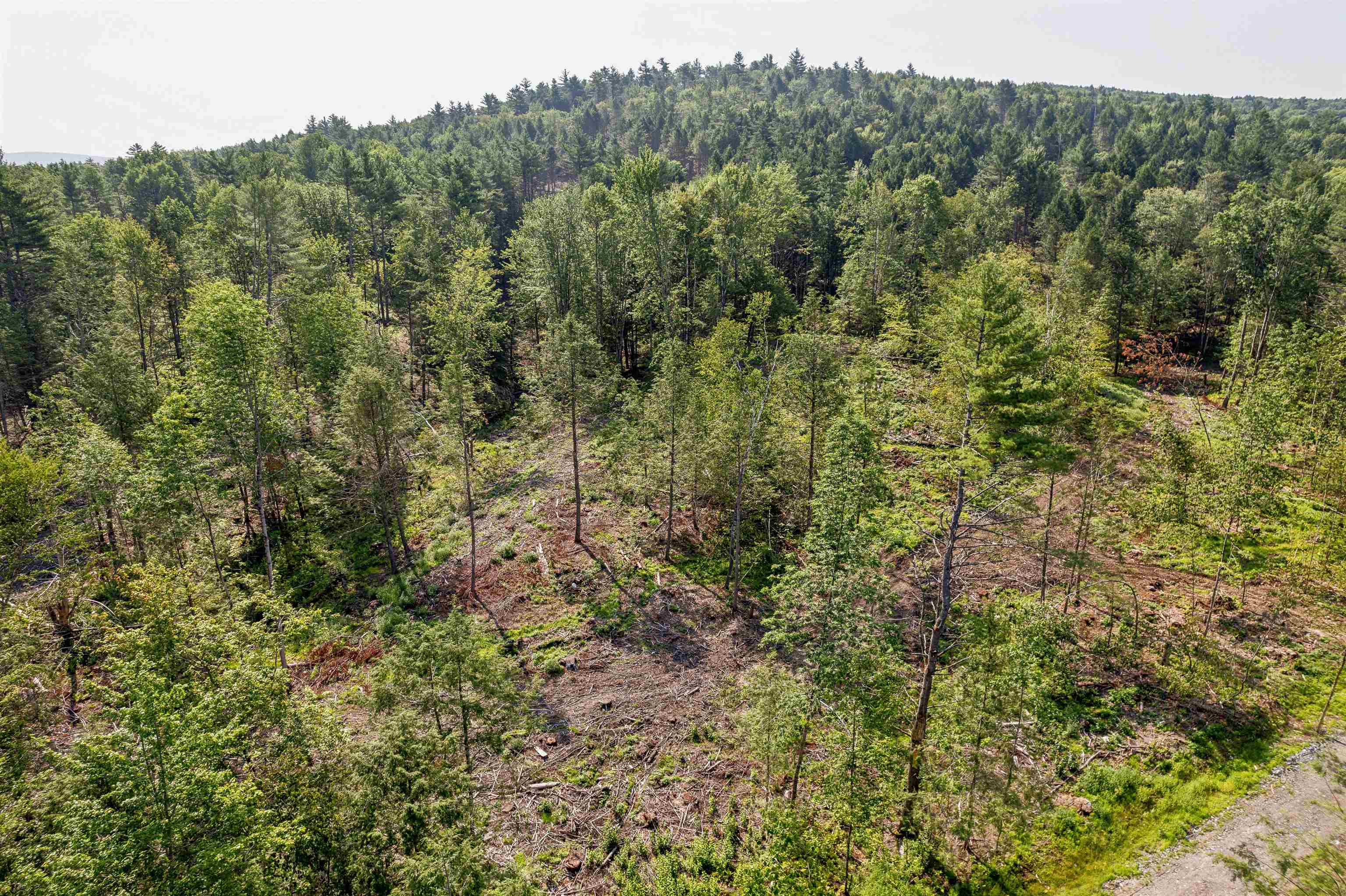 0 Court Street, Unit 4 Haverhill, NH 03765 - Photo 7 of 15