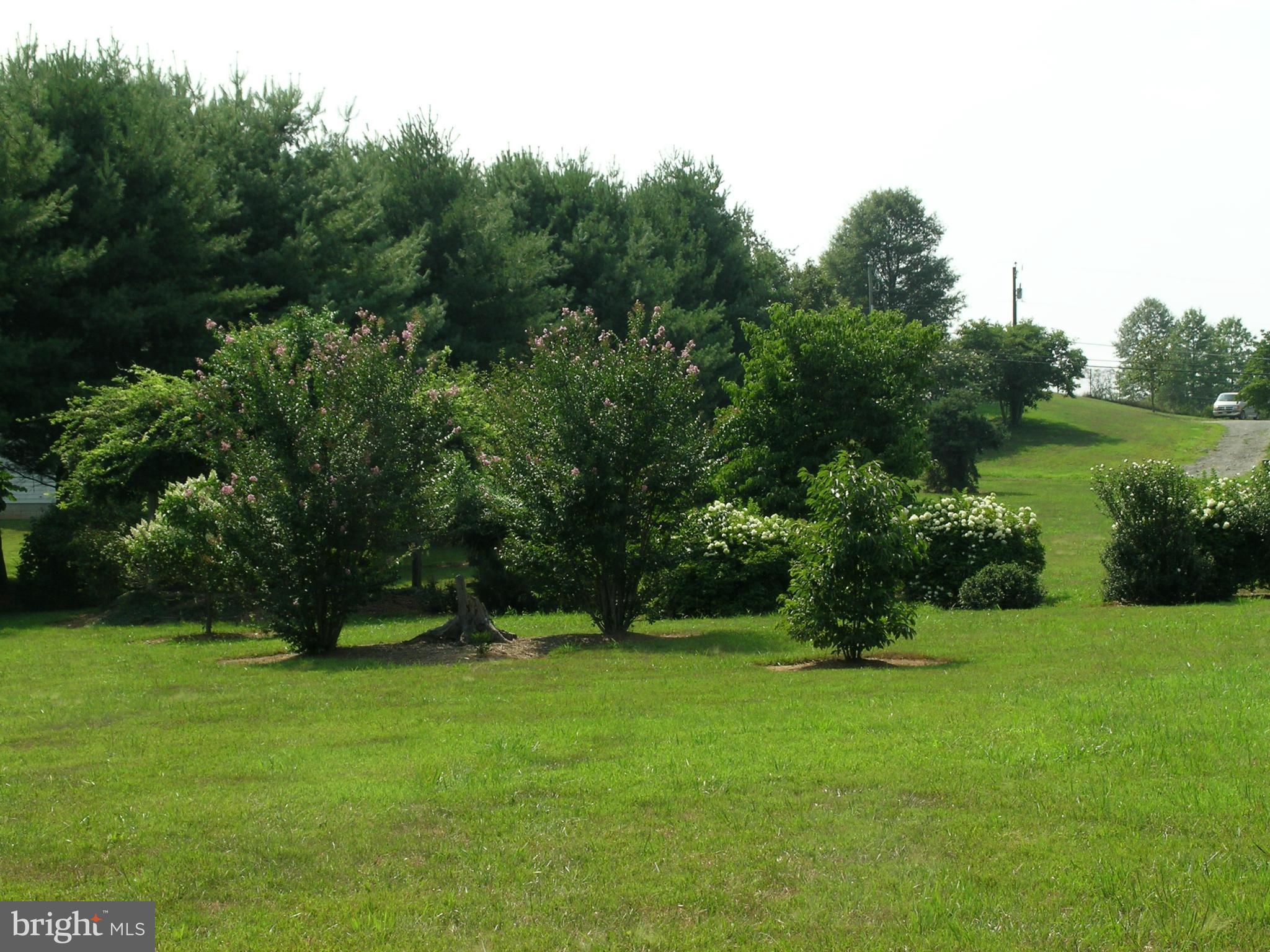 733 Utterback Store Road Great Falls, VA 22066 - Photo 18 of 27 Exterior (General)