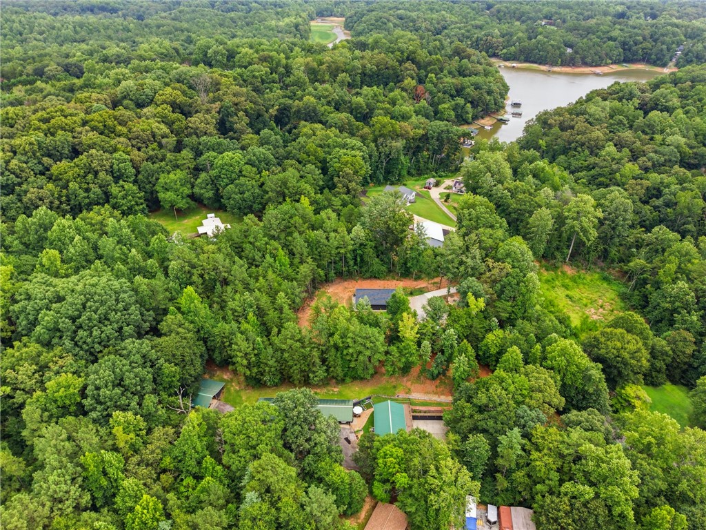 641 Lands End Road Seneca, SC 29678 - Photo 2 of 39 Vast, verdant forest embraces a secluded property with tranquil lake views and scattered residences.