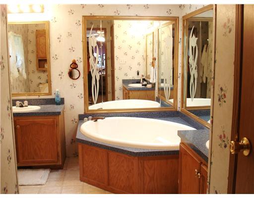 148 Gibson Hill Road Georgetown, PA 15043 - Photo 12 of 16 Master Bath/Spa.