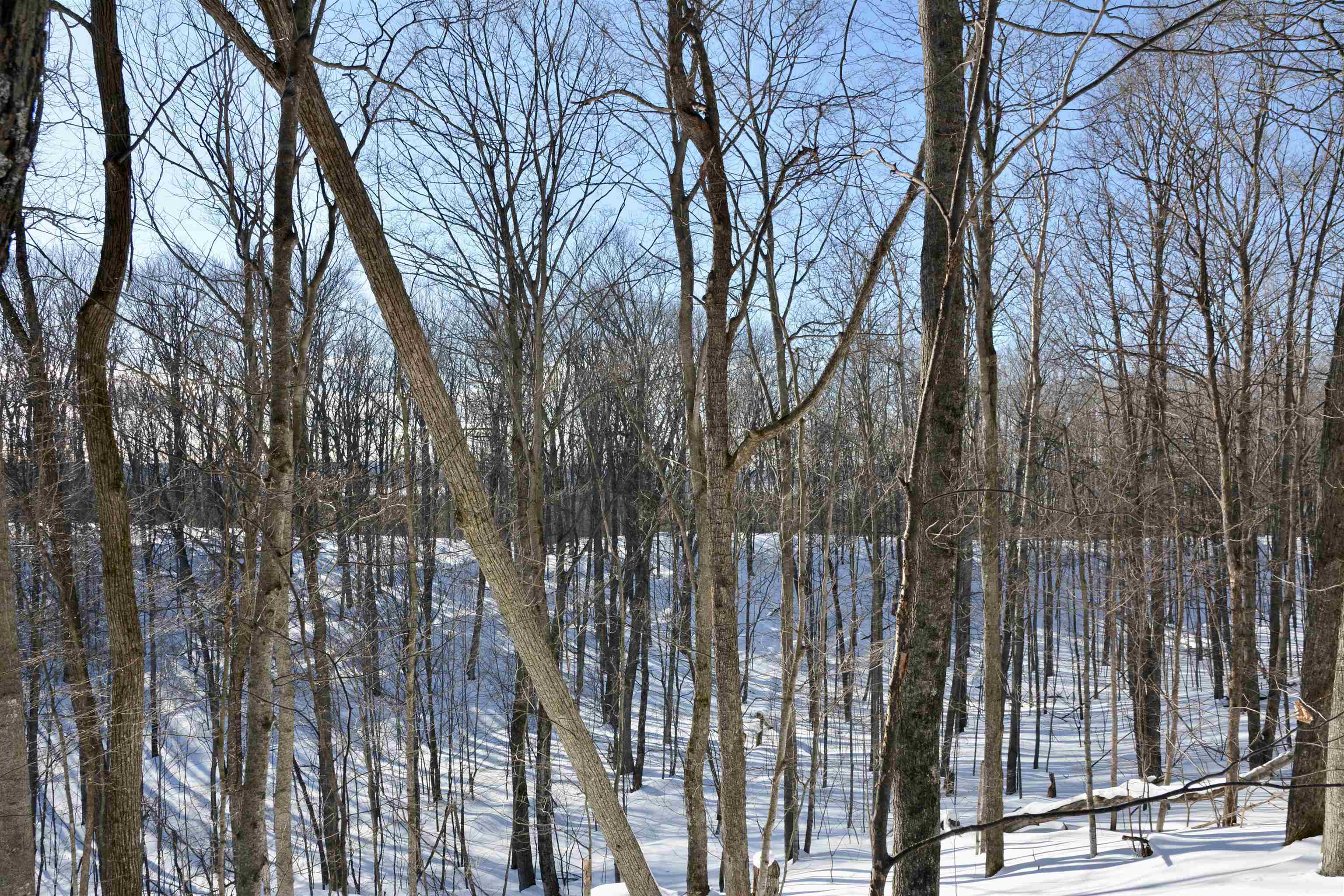 0 South Schomberg Road Cedar, MI 49621 - Photo 34 of 70