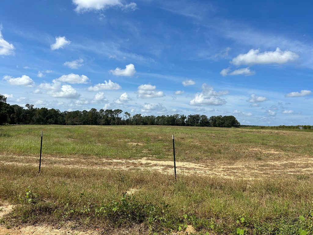 20.33-ac Sewell Road Dothan, AL 36301 - Photo 6 of 36