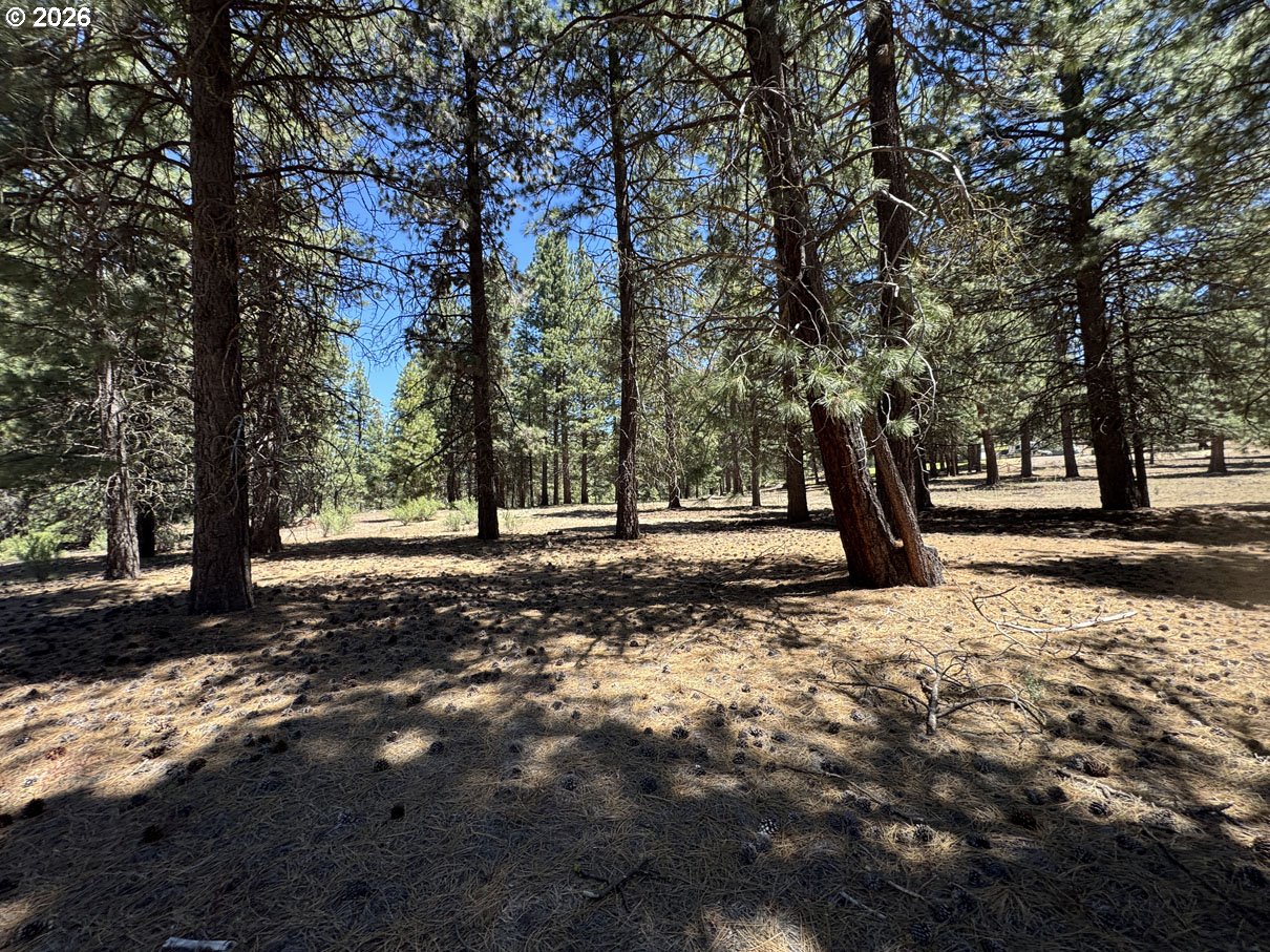Friendship Drive, Unit 15 Chiloquin, OR 97624 - Photo 25 of 41
