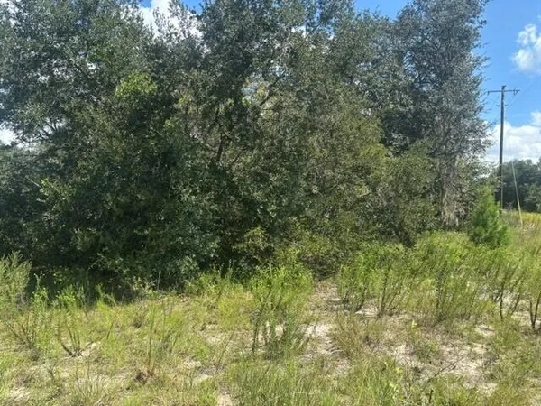$12,500 | 0 Shirley Street, Interlachen, FL 32148
