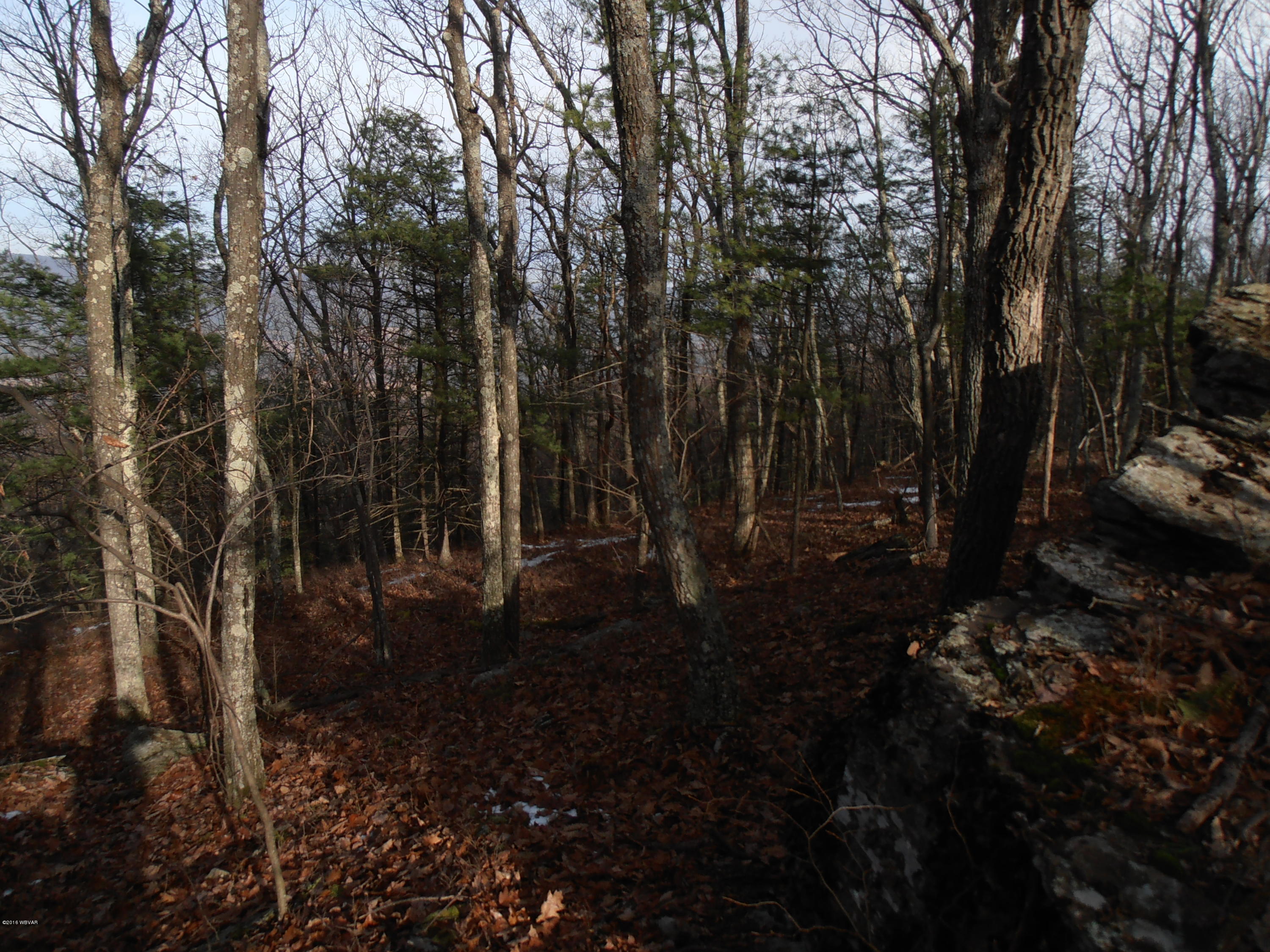 504 Furnace Run Road Jersey Shore, PA 17740 - Photo 28 of 36 PATCH PHOTOS 012