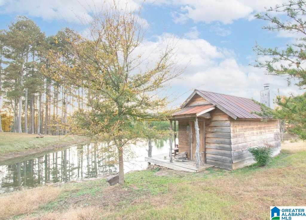 195 Mountain View Church Road Altoona, AL 35952 - Photo 46 of 49
