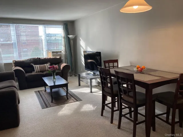 $290,000 | 120 Horton Highway, Unit A1, Mineola, NY 11501