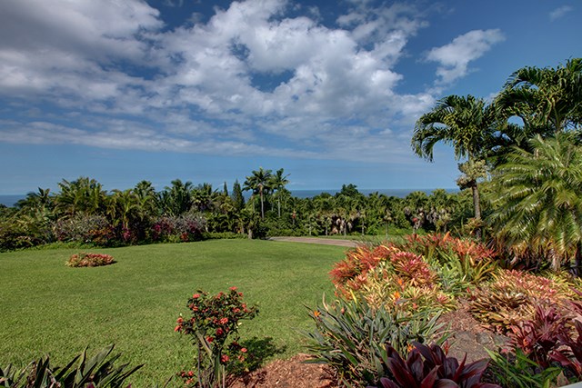 500 North Holokai Place Haiku, HI 96708 - Photo 15 of 17 a view of a garden with a flower garden