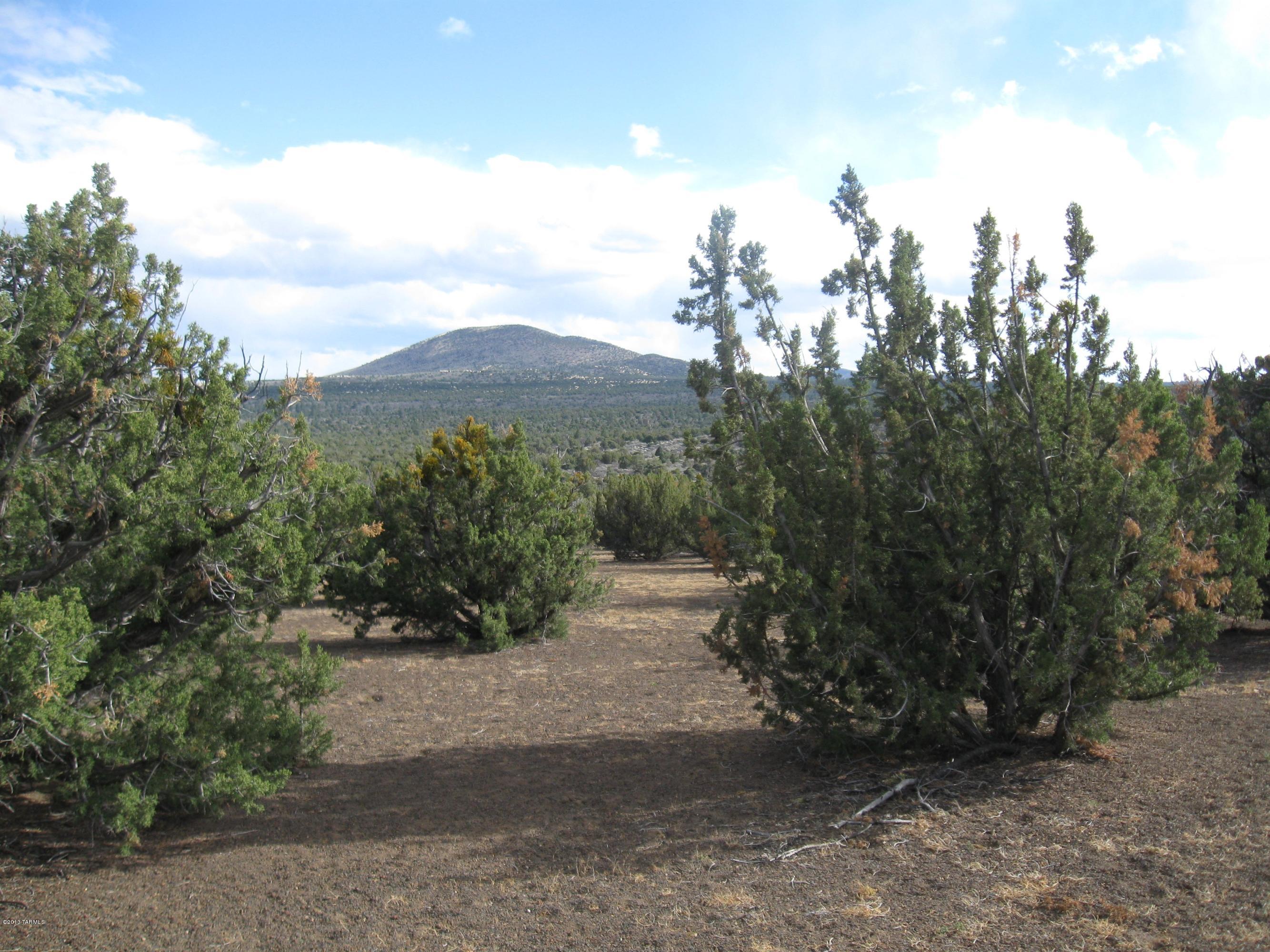 43007 A Alpine Ranch Flagstaff, AZ 86004 - Photo 7 of 12