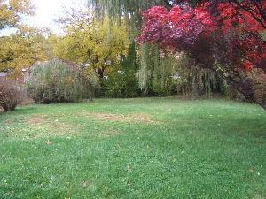2076 Noblestown Road Pittsburgh, PA 15205 - Photo 23 of 25 Yard/Garden. Large rear yard...beautiful!