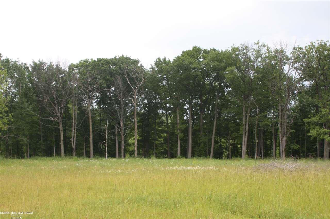 0 36 36 Mile Road Romeo, MI 48065 - Photo 5 of 21