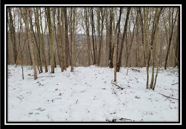 0 Number 12 Hollow Road Wellston, OH 45692 - Photo 27 of 45 image027