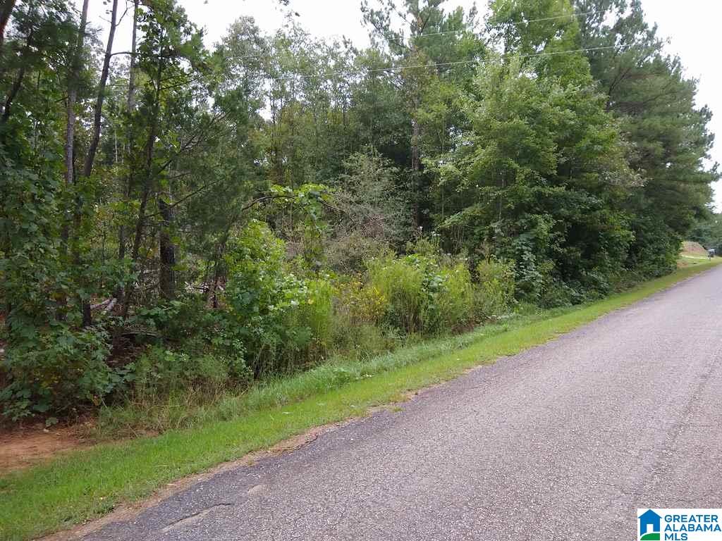 329 County Road, Unit 3 Wedowee, AL 36278 - Photo 1 of 2