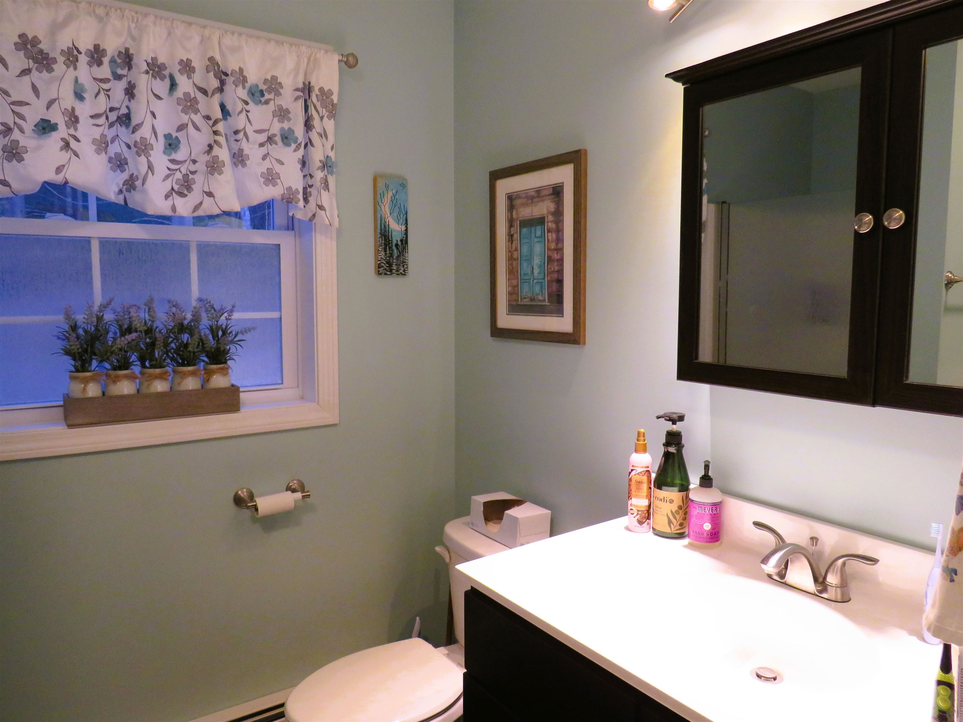 22 Merrill Drive Bennington, NH 03442 - Photo 27 of 55