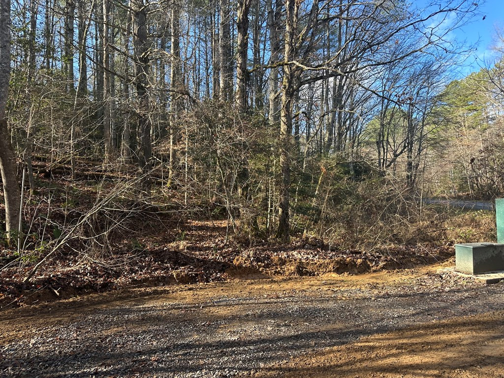 Tbd Dickey Road Murphy, NC 28906 - Photo 5 of 9