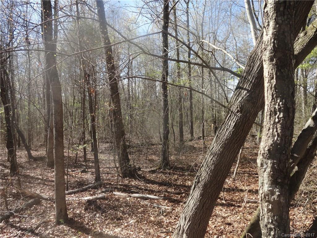 0 Lee Moore Road, Unit 1 Maiden, NC 28650 - Photo 2 of 6 Gallery Image 2