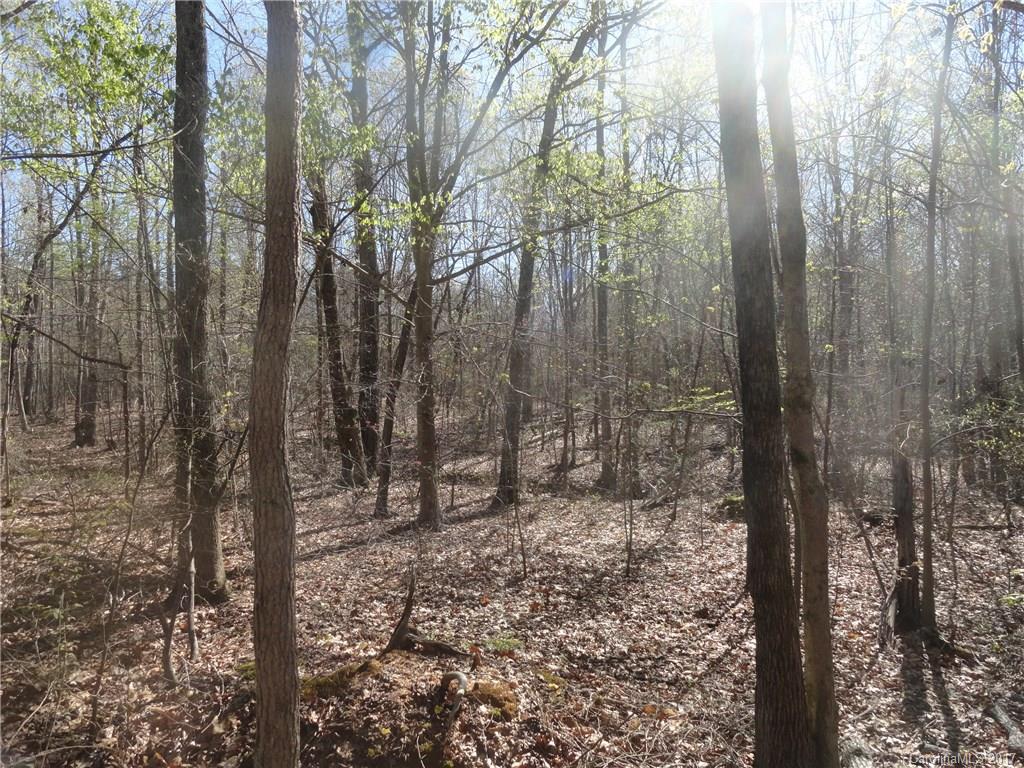 0 Lee Moore Road, Unit 1 Maiden, NC 28650 - Photo 3 of 6 Gallery Image 3