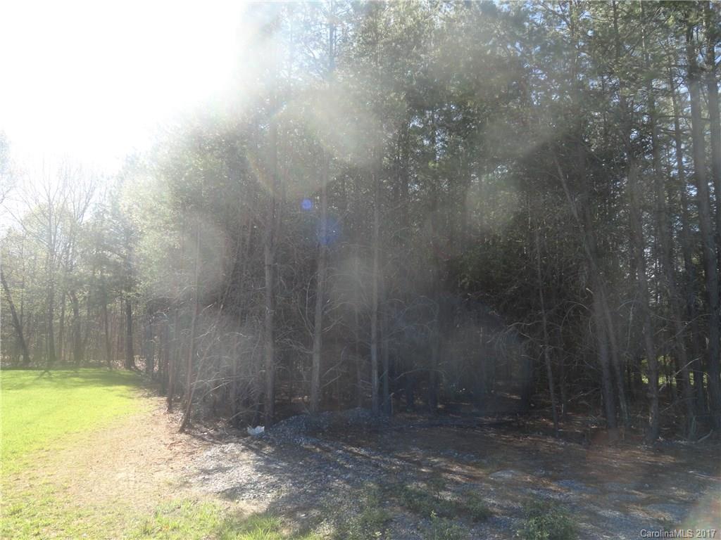 0 Lee Moore Road, Unit 1 Maiden, NC 28650 - Photo 4 of 6 Gallery Image 4