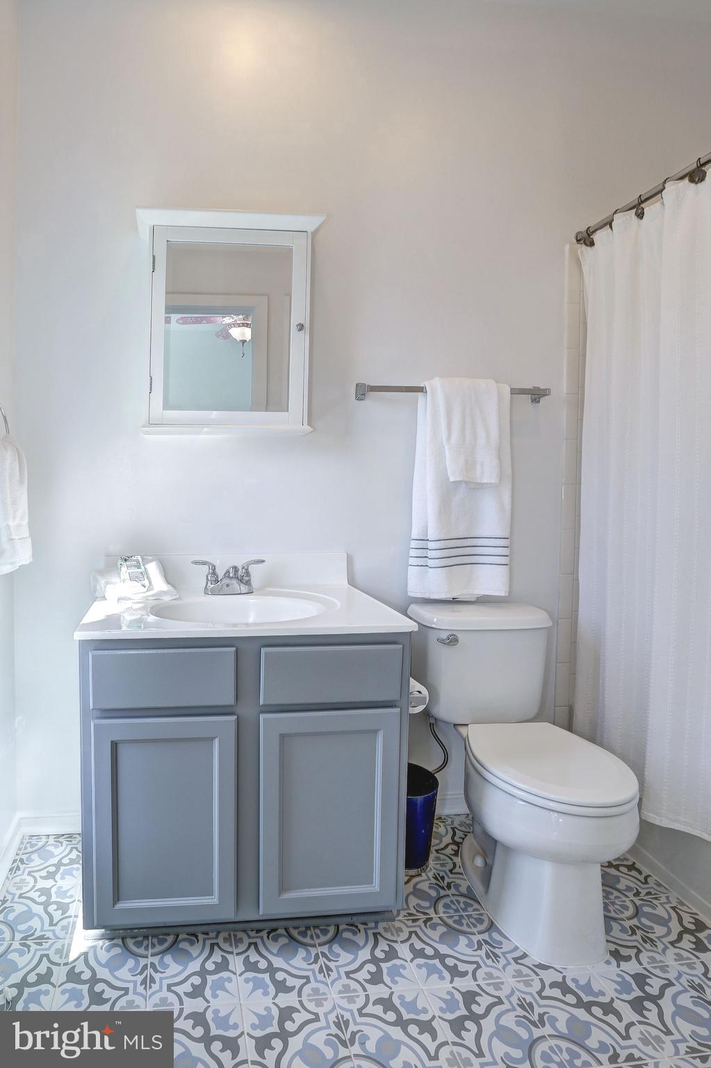 410 L Street Southeast Washington, DC 20003 - Photo 21 of 35 a bathroom with a sink toilet and mirror