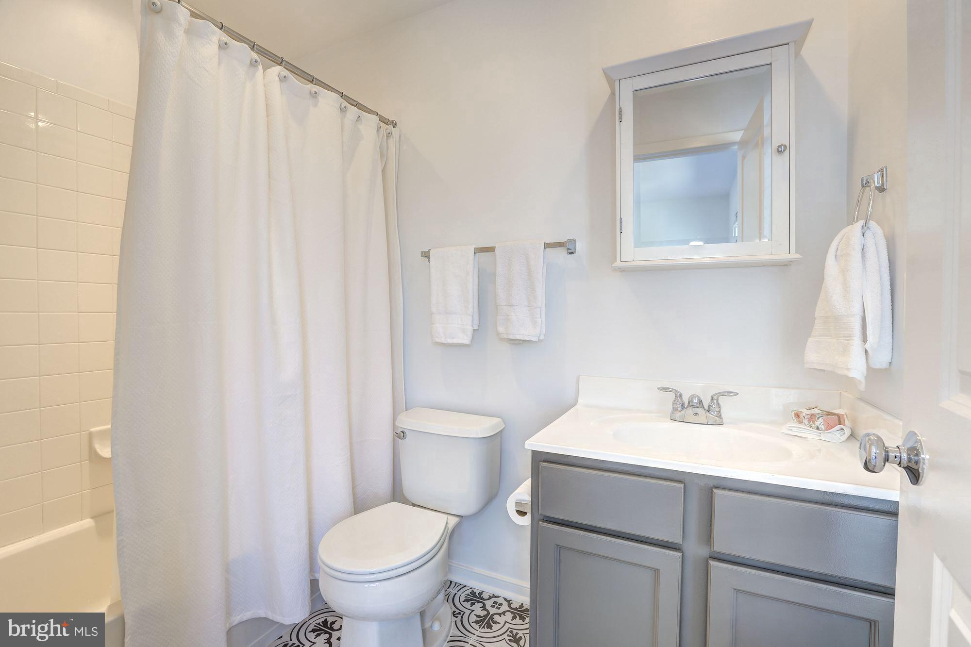 410 L Street Southeast Washington, DC 20003 - Photo 26 of 35 a bathroom with a sink vanity mirror and toilet
