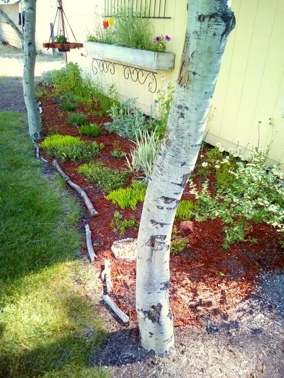 16093 Burgess Road La Pine, OR 97739 - Photo 18 of 36 Burgess flower garden