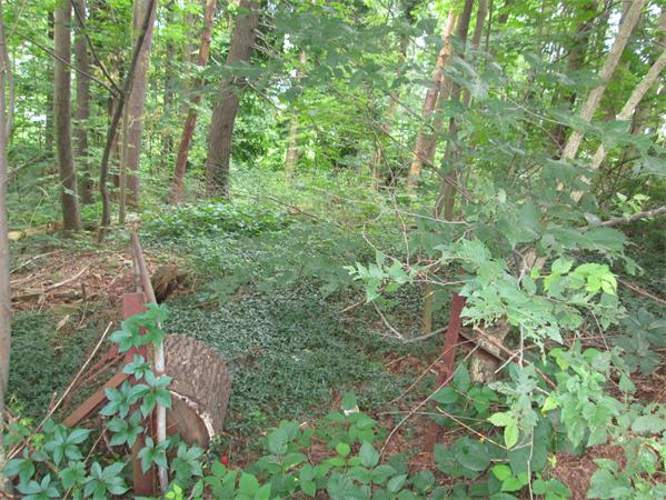 0 Feltonville Road Hudson, MA 01749 - Photo 2 of 7 Gallery Image 2