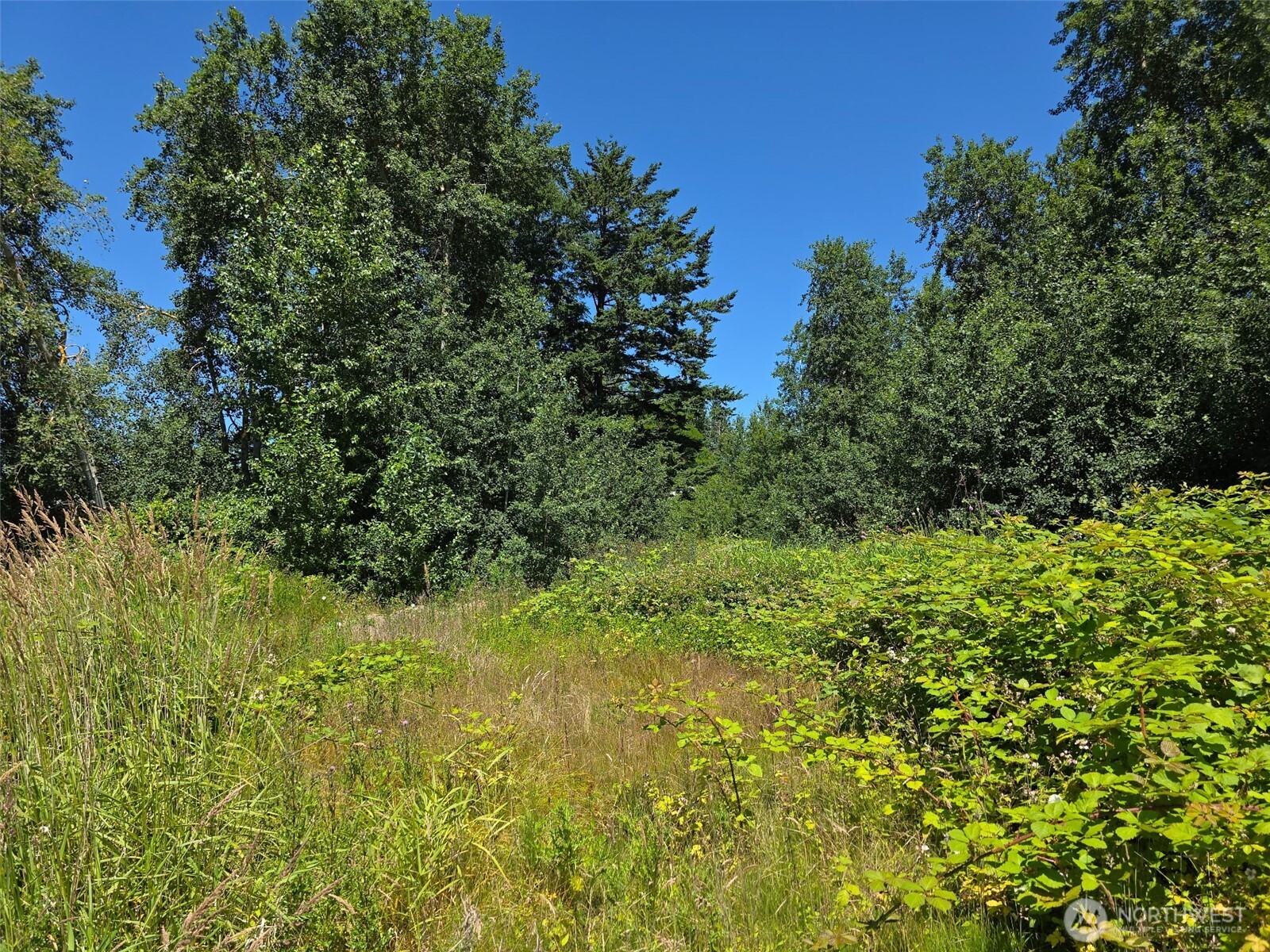 0 Peltier Drive Point Roberts, WA 98281 - Photo 7 of 8 a view of a garden