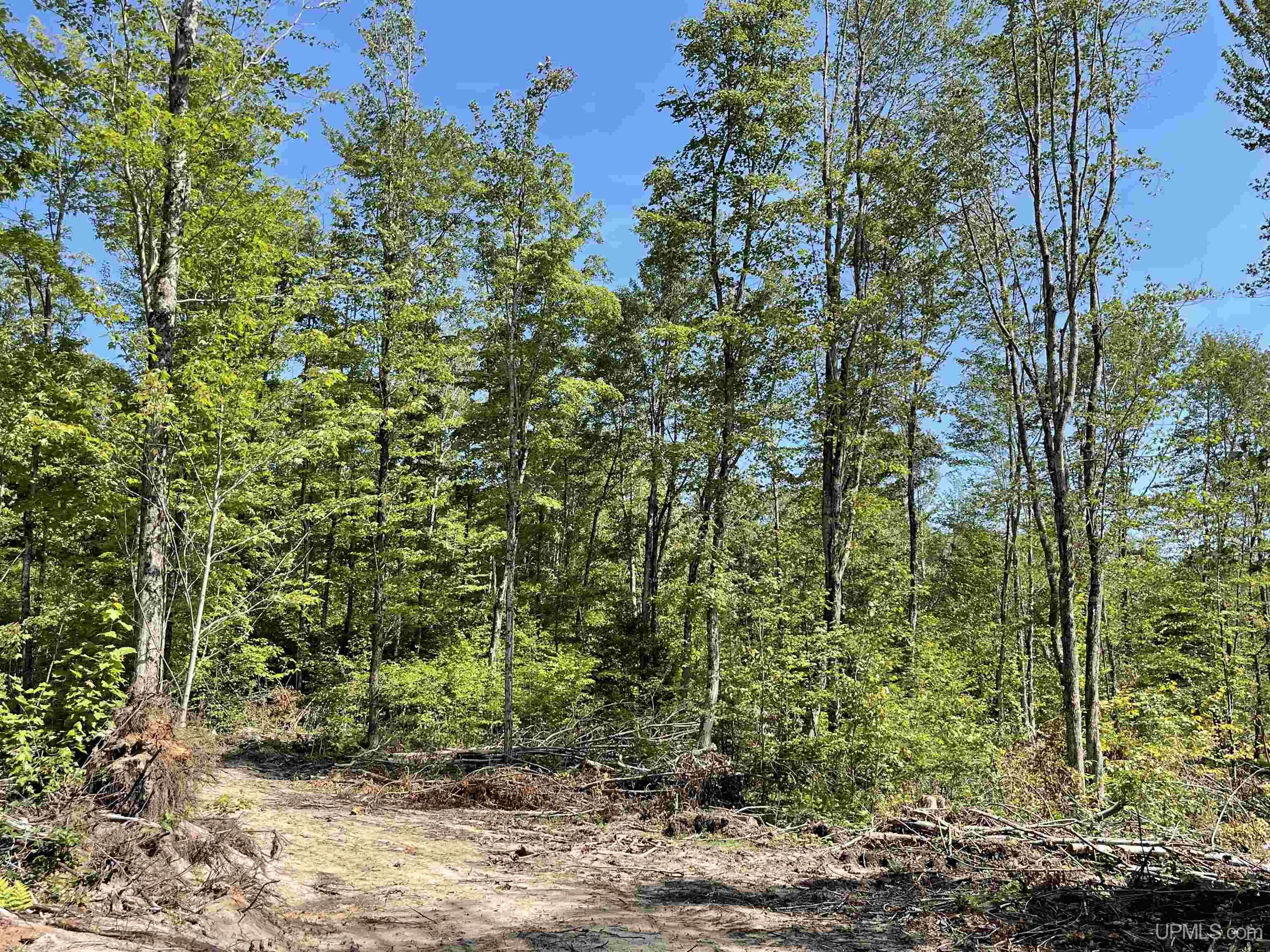 23 Camp 23 Road, Unit SOUTH PARCEL Germfask, MI 49836 - Photo 7 of 9