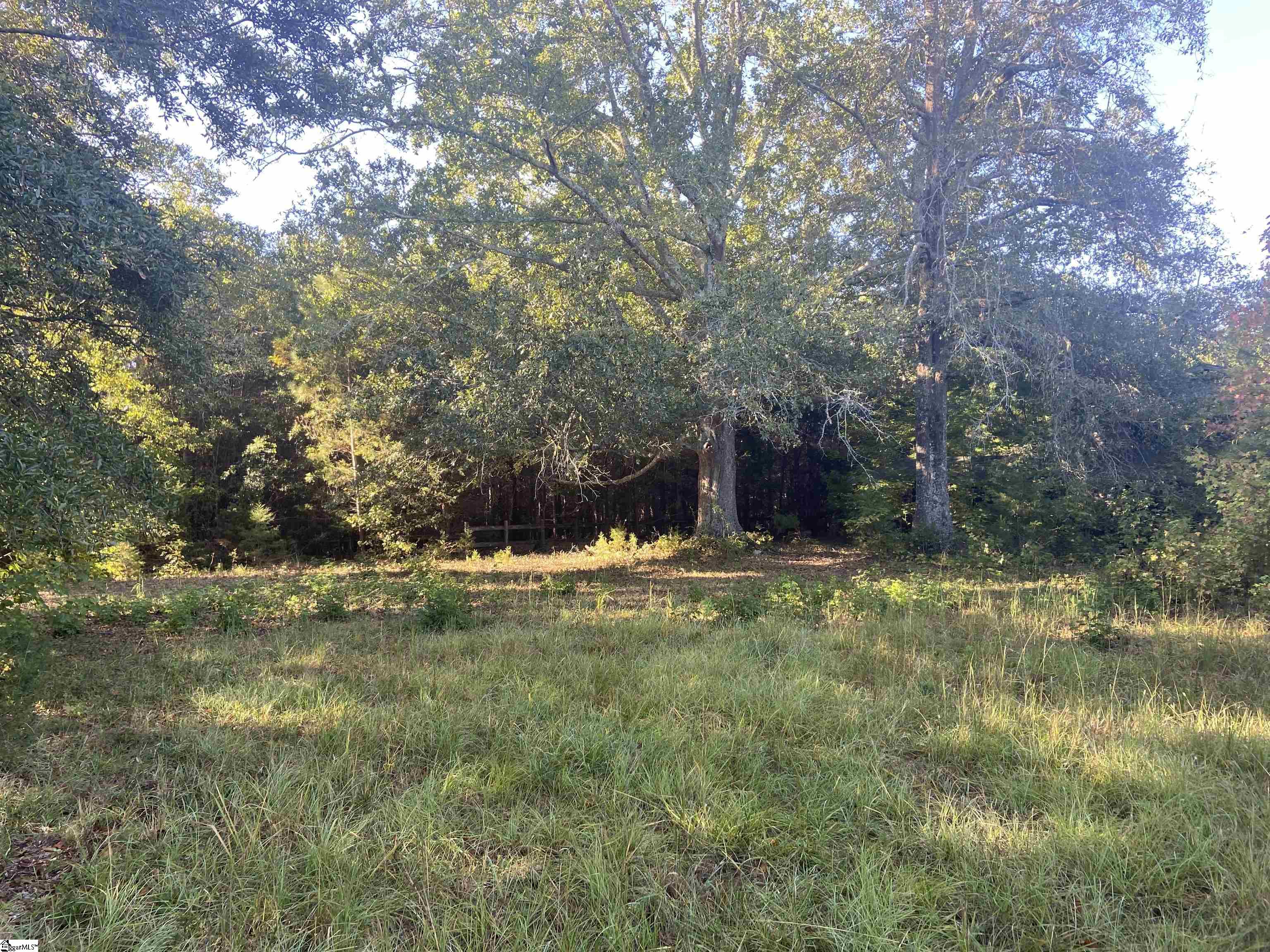 144 Craigo Road Fountain Inn, SC 29644 - Photo 3 of 16
