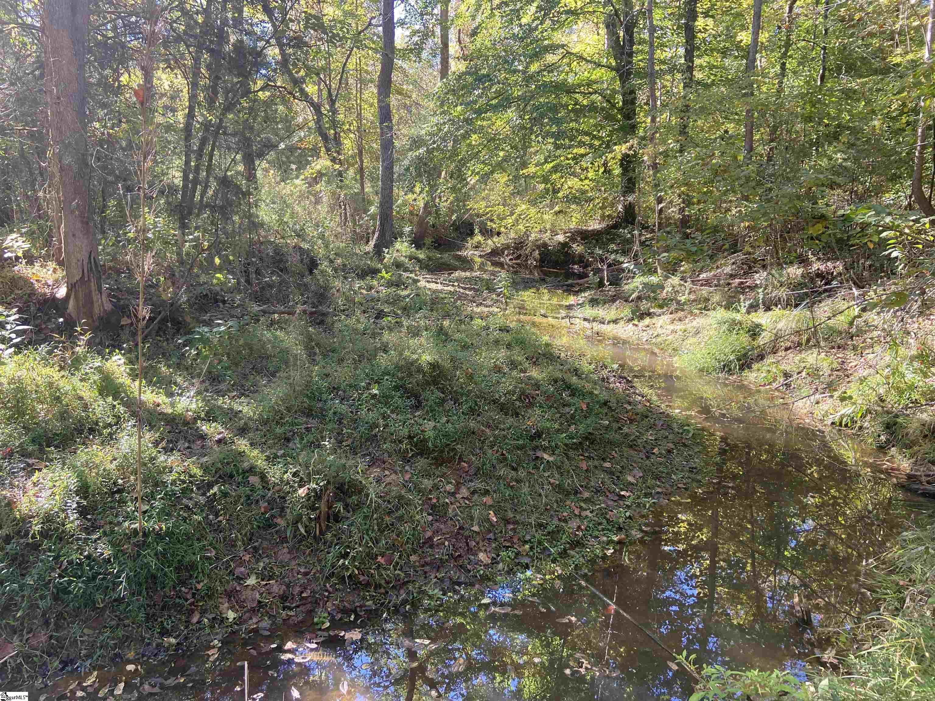 144 Craigo Road Fountain Inn, SC 29644 - Photo 10 of 16