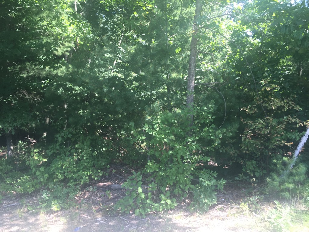48 Sheep Pasture Road Southwick, MA 01077 - Photo 1 of 3 Gallery Image 1