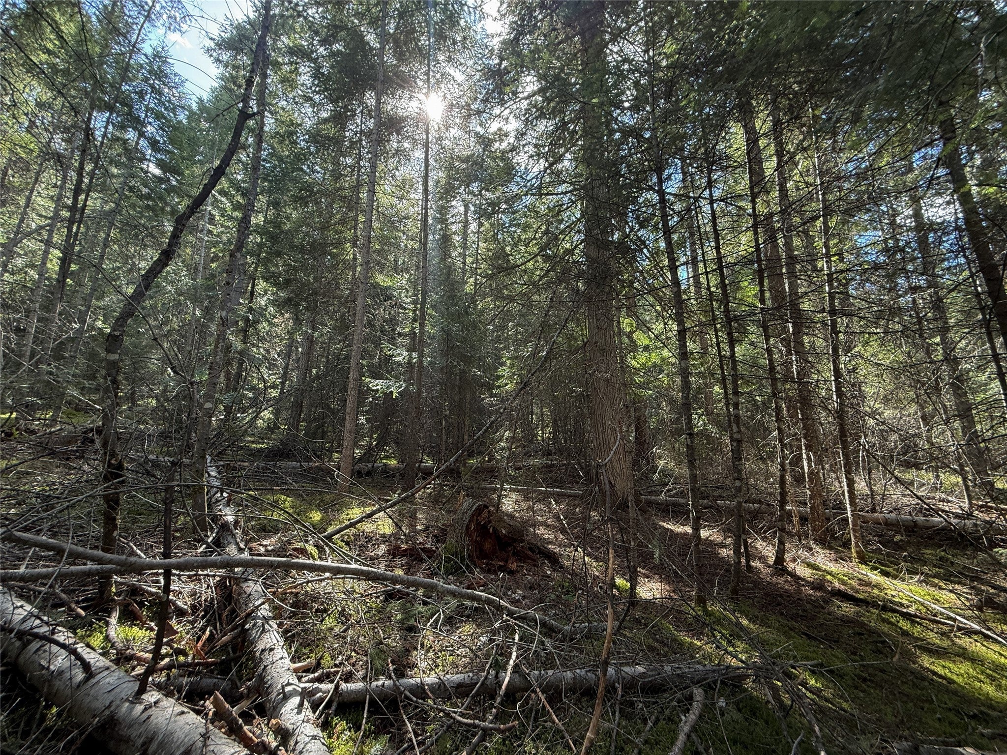 N/a Wapiti Point Road Thompson Falls, MT 59873 - Photo 10 of 17 Gallery Image 10