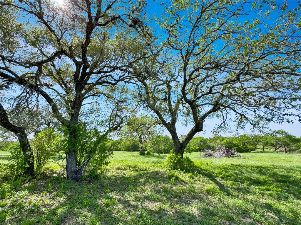 4552 Mineral Cemetery Road Beeville, TX 78102 - Photo 13 of 31