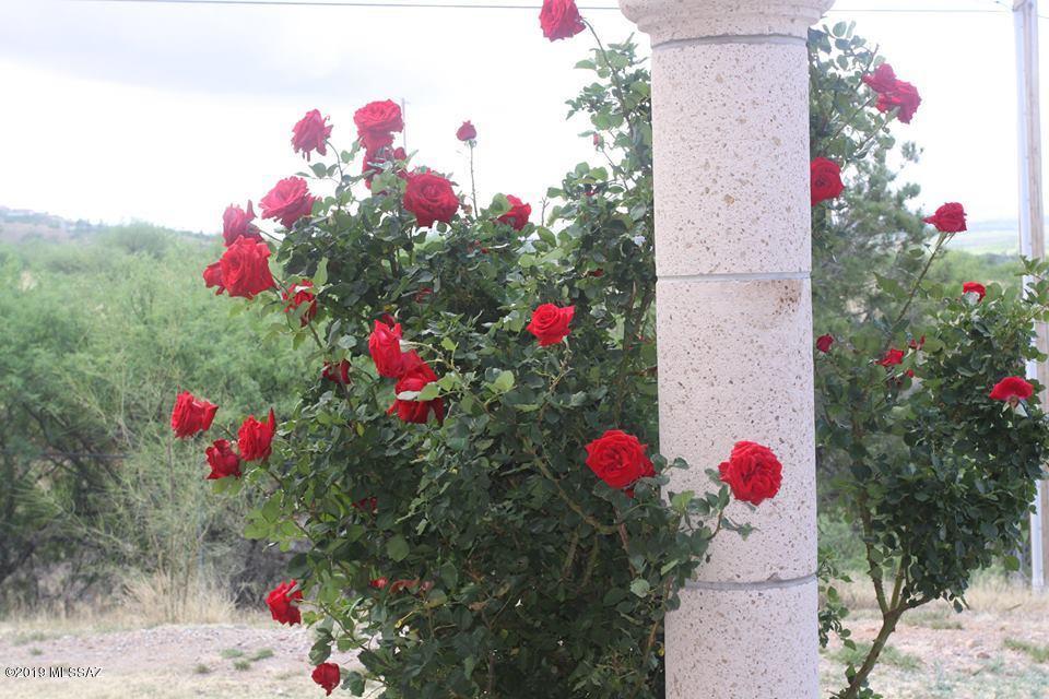 240 Camino Cholula Rio Rico, AZ 85648 - Photo 45 of 48