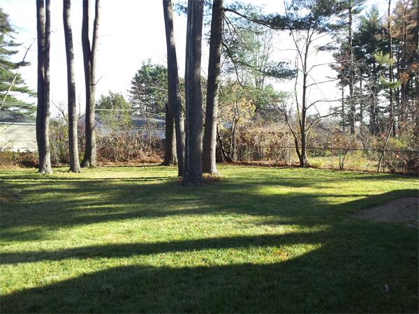 49 Garcia Street Springfield, MA 01129 - Photo 2 of 8