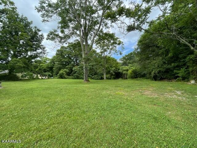Ridgeview backyard