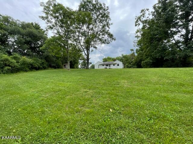 Ridgeview view from back