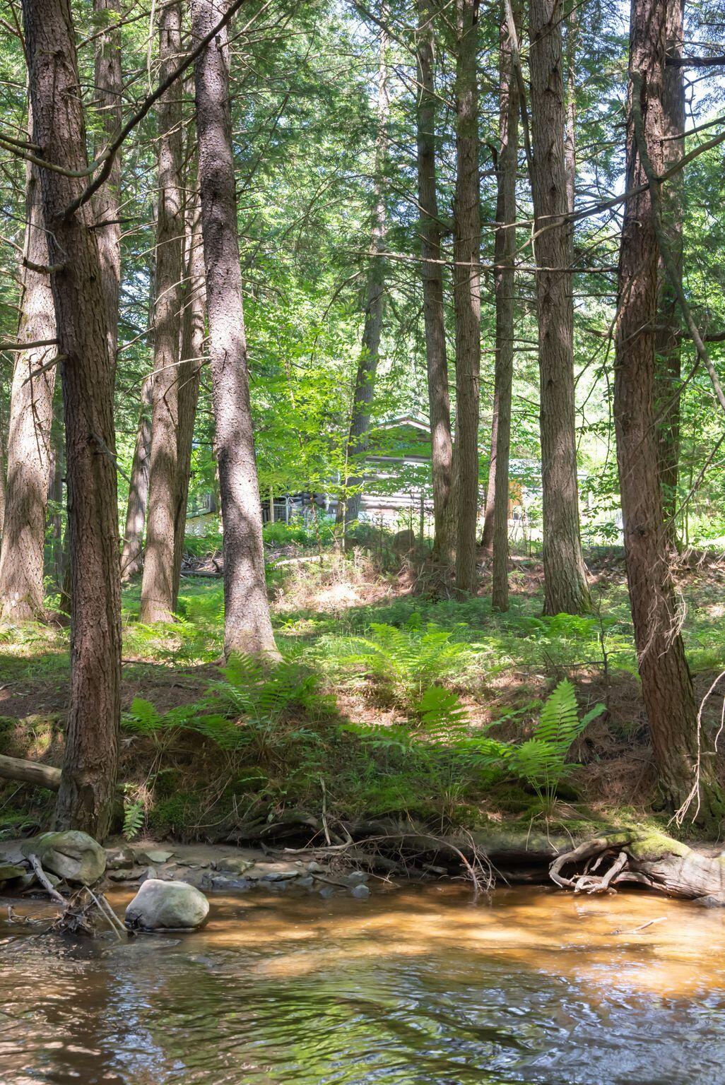 22 Montgomery Road Windham, ME 04062 - Photo 2 of 82 49_DSC00313