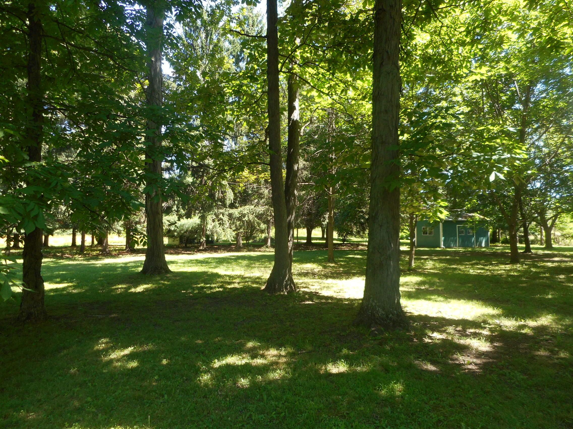 11909 Trenton Road Galena, OH 43021 - Photo 7 of 32 Gallery Image 7