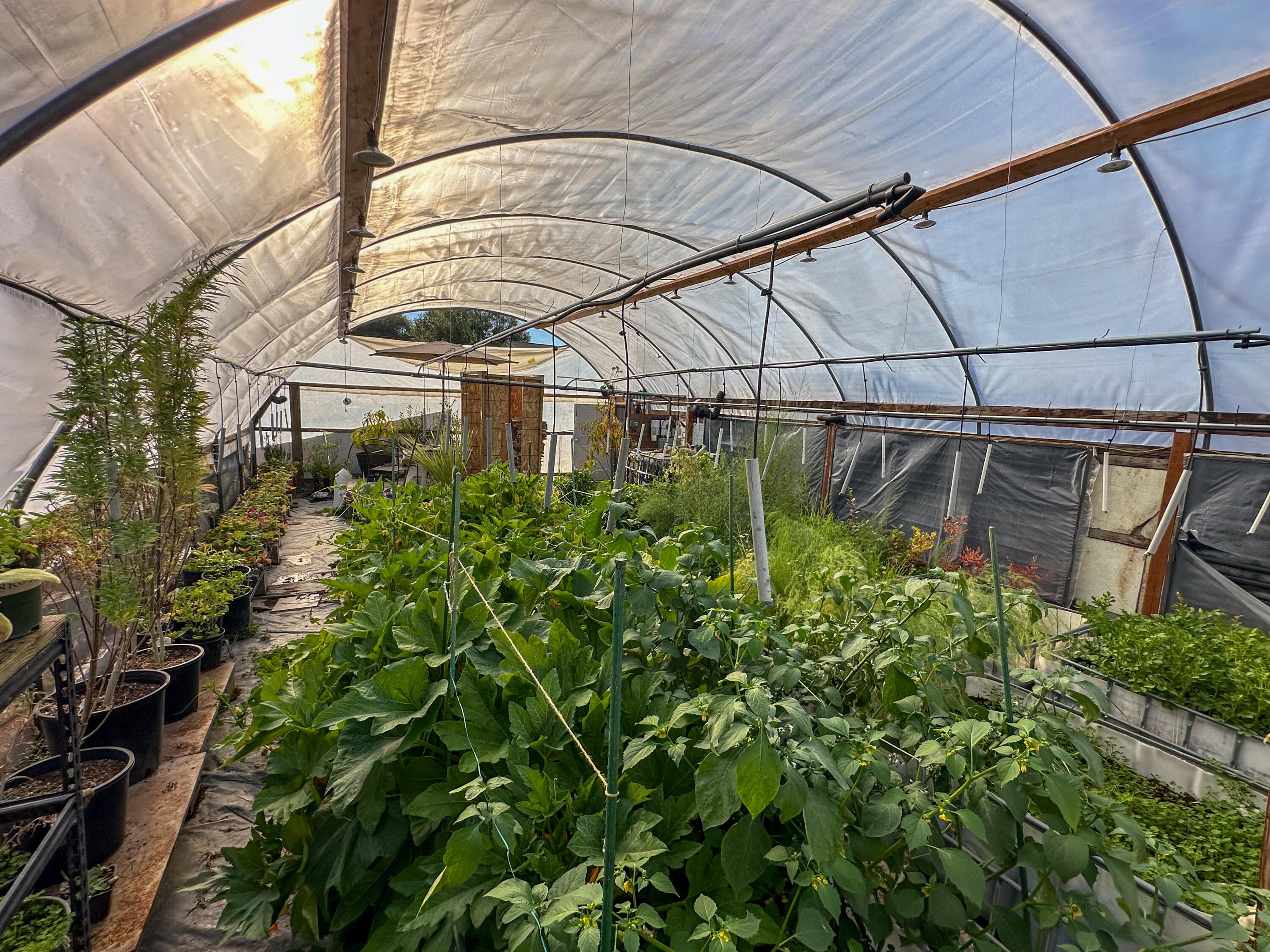 23939 Yellow Jacket Springs Road Beatty, OR 97621 - Photo 51 of 72 Greenhouse
