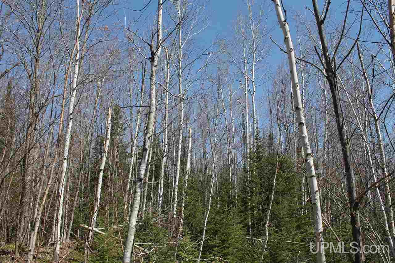 Tbd Reeds Point Road, Unit LAT 46 89919 LON 88 2455 Lanse, MI 49946 - Photo 8 of 19