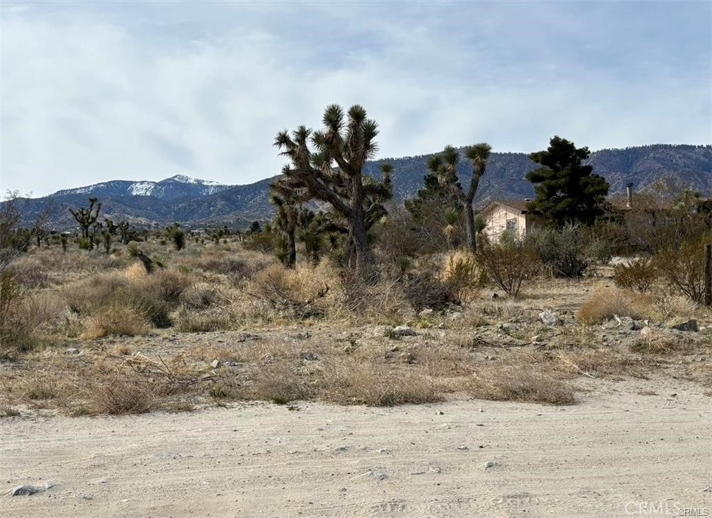 0 Mono Road Pinon Hills, CA 92372 - Photo 3 of 6