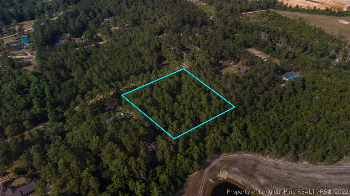 Southfork Road Parkton, NC 28371 - Photo 11 of 12 Gallery Image 11