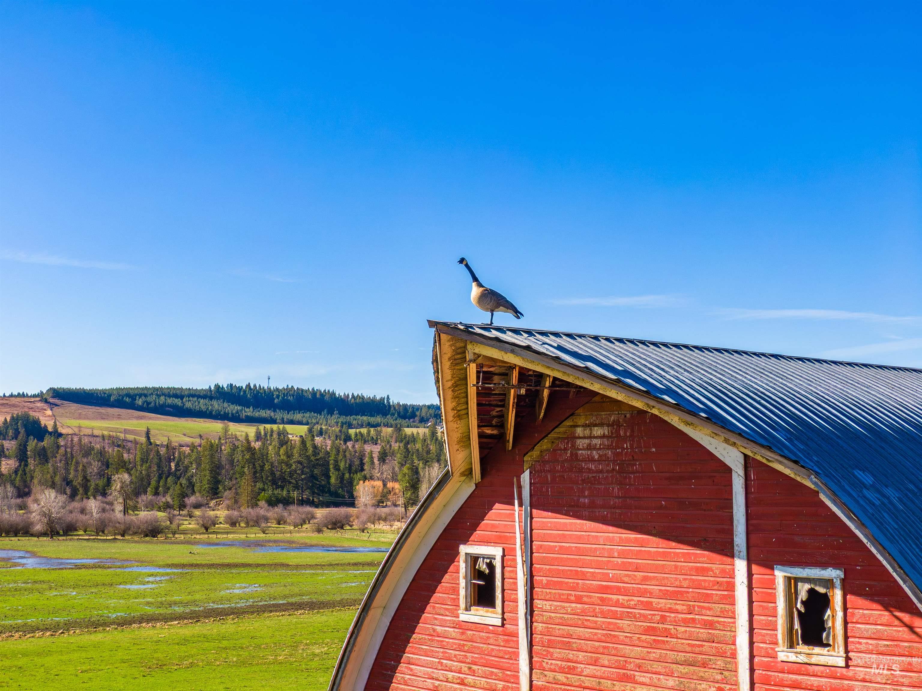1050 Garden Gulch Road Harvard, ID 83834 - Photo 42 of 49